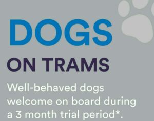 Dogs on Tram